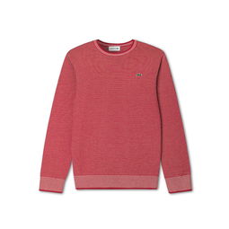 吉犬旺新禧，Lacoste針織相伴迎新春